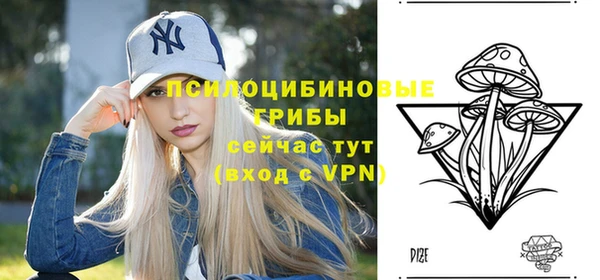 МДМА Приозерск